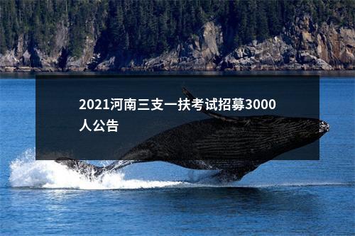 2021河南三支一扶考试招募3000人公告                进入阅读模式 图片