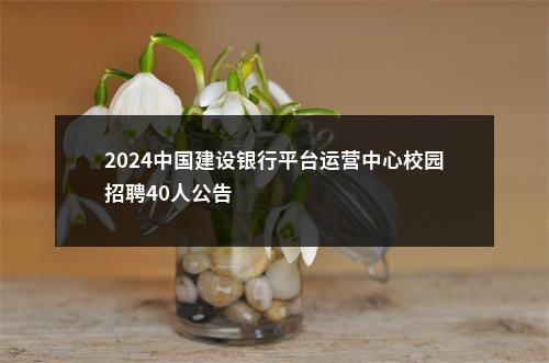 2024中国建设银行平台运营中心校园招聘40人公告                进入阅读模式 图片