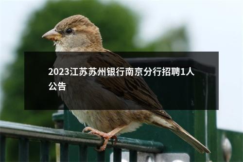 2023江苏苏州银行南京分行招聘1人公告                进入阅读模式 图片