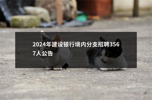 2024年建设银行境内分支招聘3567人公告                进入阅读模式 图片