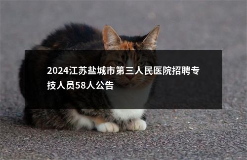 2024江苏盐城市第三人民医院招聘专技人员58人公告                进入阅读模式 图片