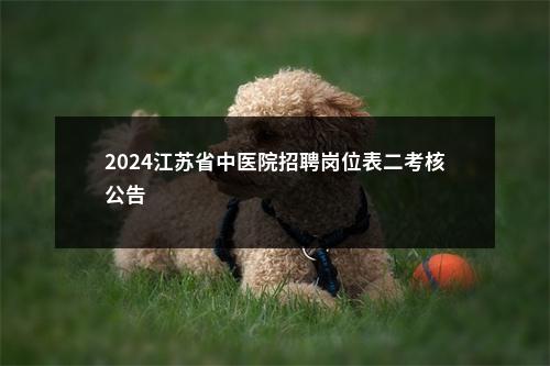 2024江苏省中医院招聘岗位表二考核公告                进入阅读模式 图片
