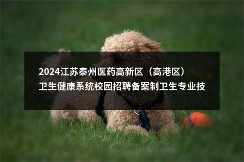 2024江苏泰州医药高新区（高港区）卫生健康系统校园招聘备案制卫生专业技术人才51人公告                进入阅读模式 图片