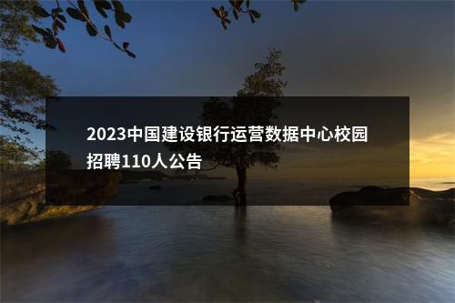 2023中国建设银行运营数据中心校园招聘110人公告                进入阅读模式 图片