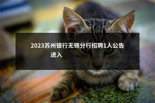 2023苏州银行无锡分行招聘1人公告                进入阅读模式 图片
