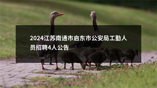 2024江苏南通市启东市公安局工勤人员招聘4人公告                进入阅读模式 图片